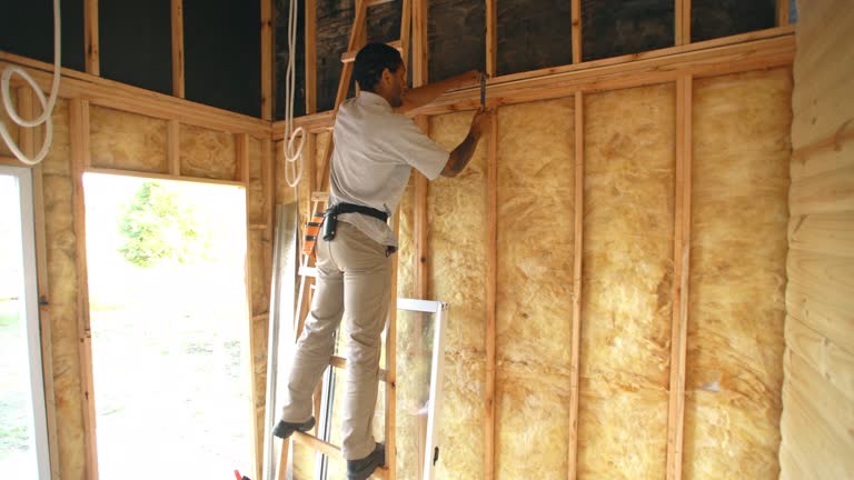 Best Eco-Friendly or Green Insulation Solutions  in Port Neches, TX