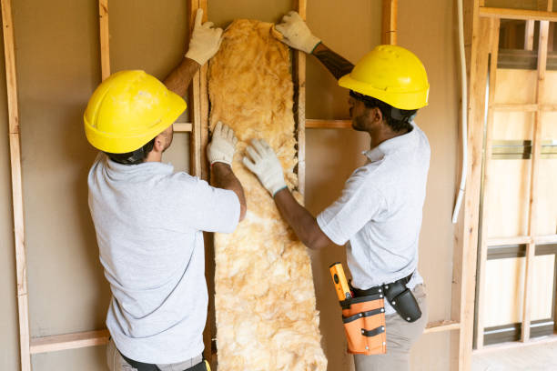 Best Basement Insulation  in Port Neches, TX